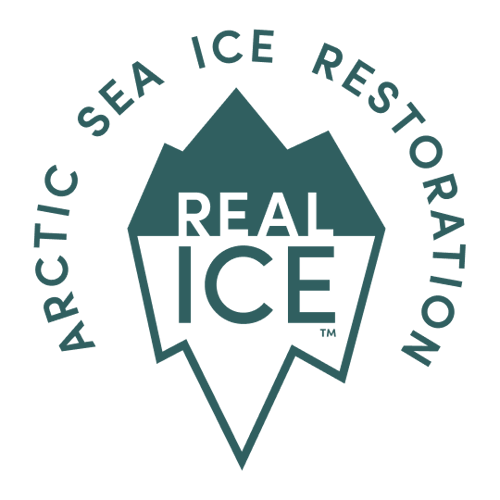 Real Ice Development Company logo